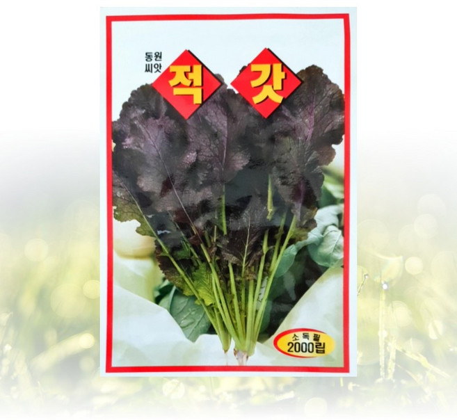 농사친구 적 갓 씨앗 2000립 동원 씨 종자 김장 쪽파 고사리 항암 배추 베타 텃밭 베란다 모종 불암 토광 알타리, 1개