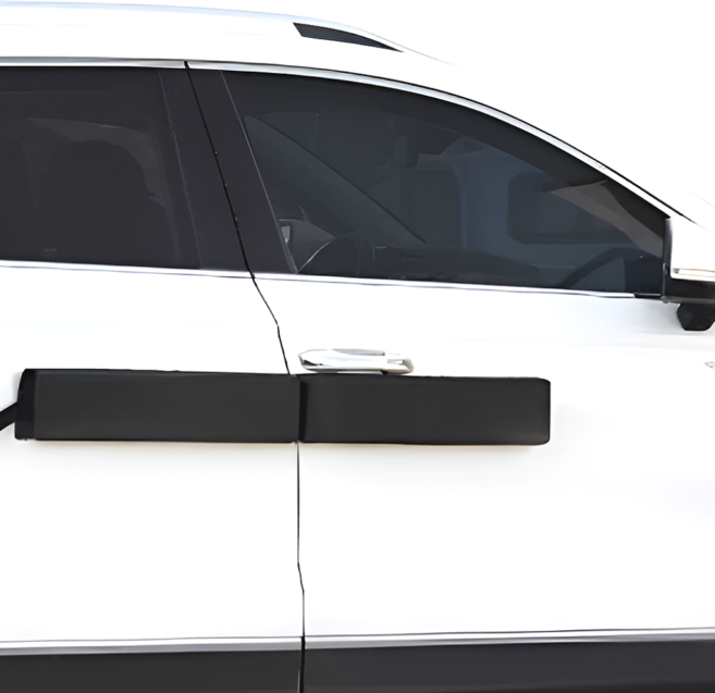 레이니닥 문콕방지가드 자석 도어가드, 1개, 블랙