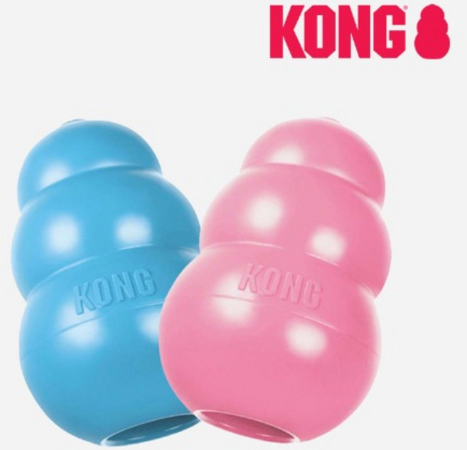 콩 KONG 퍼피 새끼 강아지 고양이 간식 먹이 분리불안 장난감 콩토이 미니 소 중 대, 블루, 1개