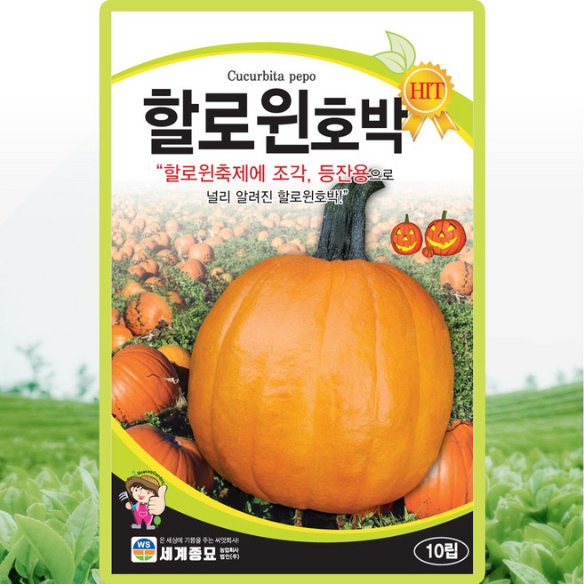 세계종묘 할로윈호박 씨앗 10립 관상용 호박씨 종자, 1개