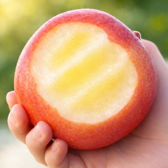 [농가직접할인] 초초특가 못난이부사사과 당도13BRIX 꿀사과, 1박스, 3kg