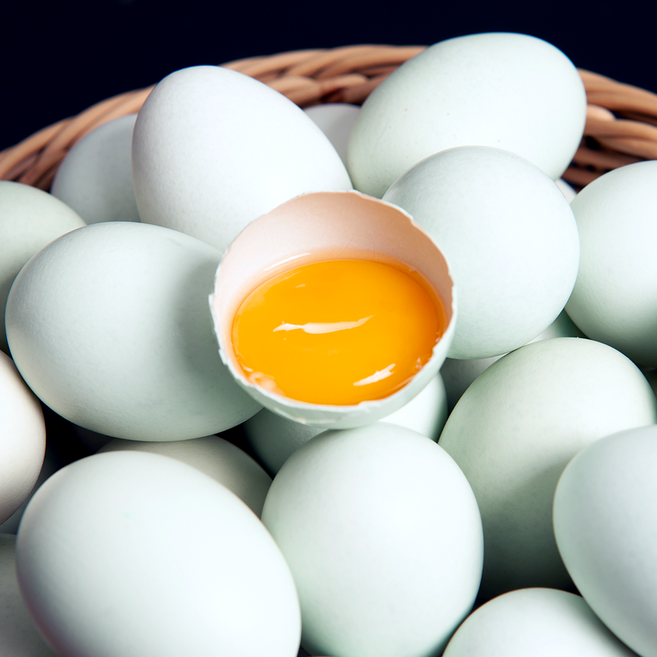청란 HACCP 무항생제 청계알 달걀, 1박스, 30구