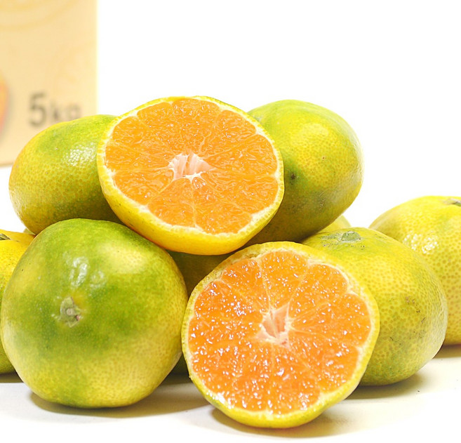 제주도 직송 노지 감귤 새콤 달콤 제철 귤 밀감 조생귤, 1박스, (노지) 감귤 2.5kg 소과