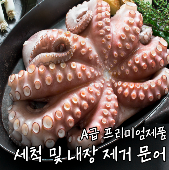 세척 내장 제거 문어 홀클린 10kg, 1박스, 400~500g[20~25미]