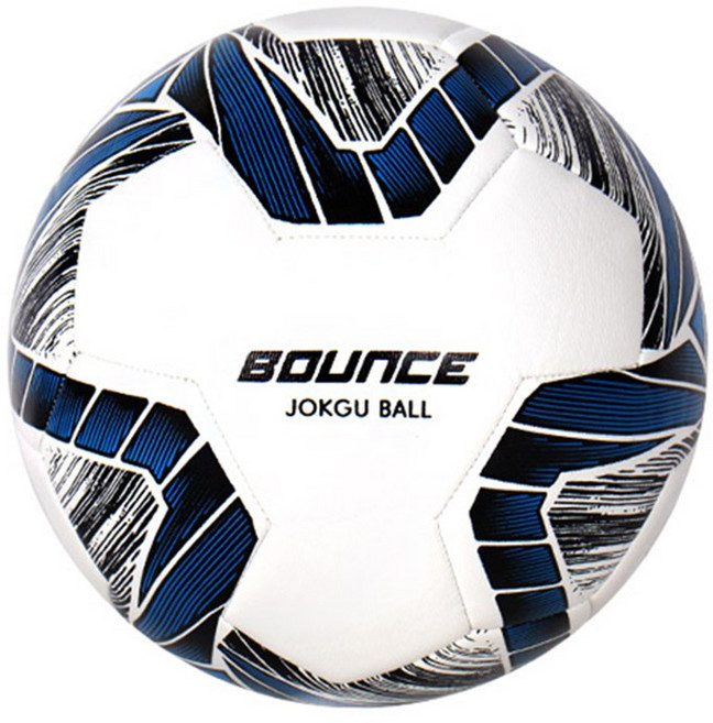비바스포츠 바운스 족구공 4호, 1개