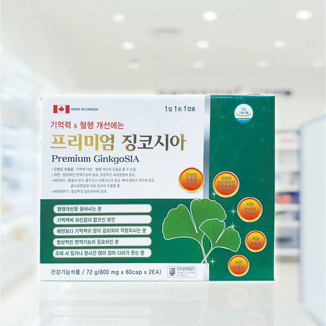 혈행개선제 뇌영양제 징코시아 혈액순환개선제, 120정, 1개
