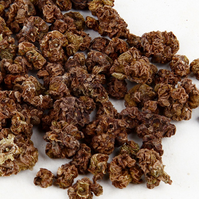 약초약선생 수입산 개다래열매 충영, 100g, 1개