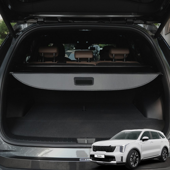 윙가디움 차량용 러기지 스크린 튜닝 악세사리 용품 카본 스타일