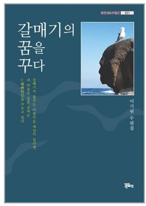 정은출판 갈매기의 꿈을 꾸다 (마스크제공), 단품, 단품