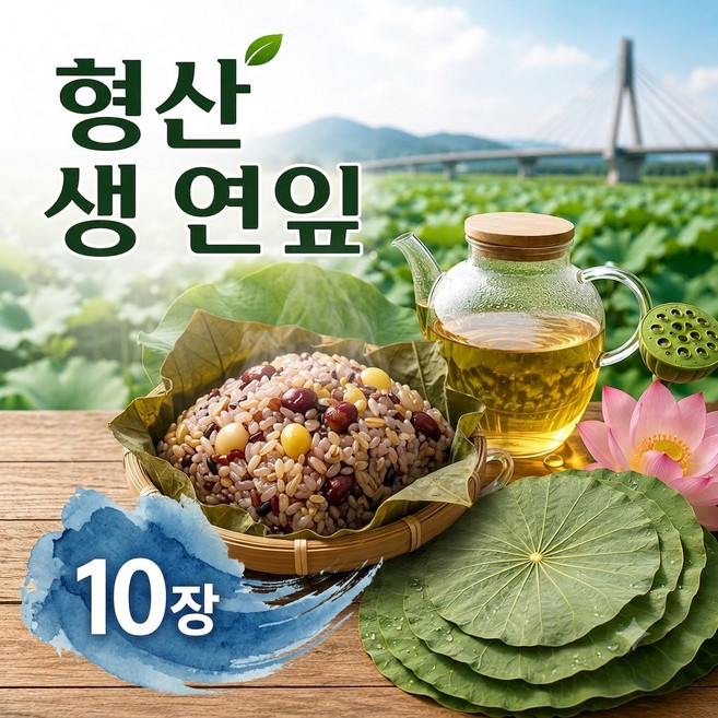 국산 생연잎 연잎밥용 신선 대엽 당일수확 형산육묘 10매, 1개, 1kg