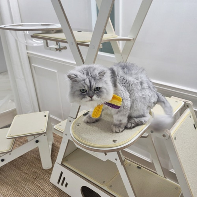 [펫502] 고양이 선반 캣타워 책장 해먹 캣워크, 선반캣타워 대형 아이보리, 1개