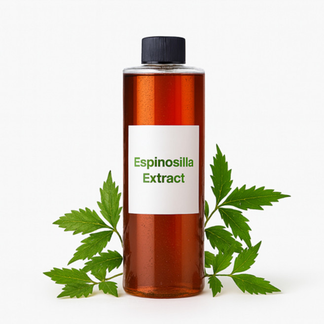 천연화장품재료-에스피노질리아추출물(무방부제), 500ml, 1개