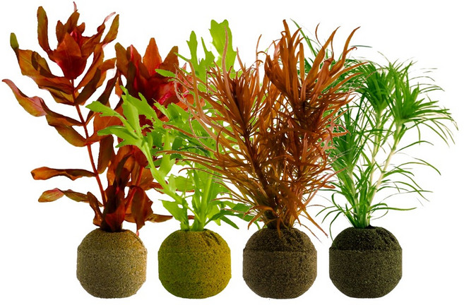 달팽이 없는 칸후 바이오스피어 여과재 포트수초 세트 4포트 (랜덤), 1개