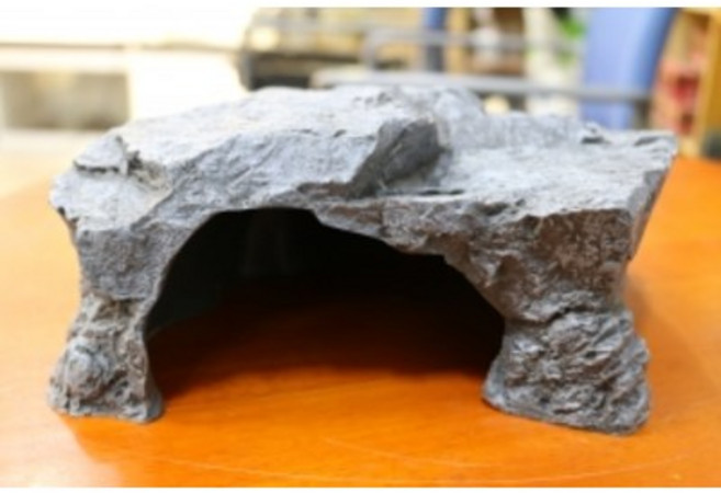 JIF은신처 왕대(made korea), 1개