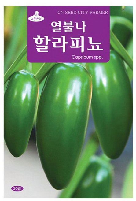 멕시코고추 할라피뇨 씨앗 할라피뇨씨 30립, 6개