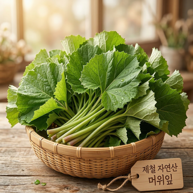 [단독특가] 특상품 당일수확 머위나물 머위, 1박스, 2kg