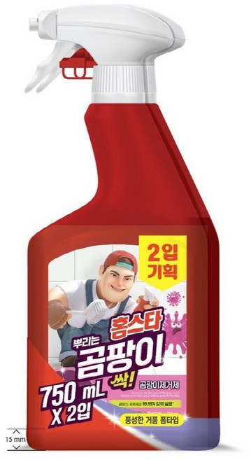 홈스타 뿌리는 곰팡이 싹 곰팡이제거제 (750ML*2개), 2개, 750ml