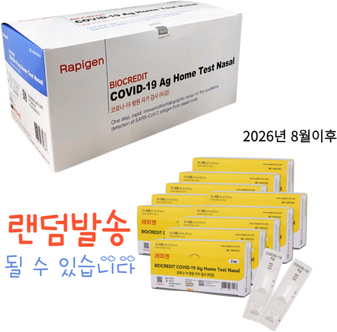 래피젠 코로나 자가진단 검사키트, 20개입, 1개