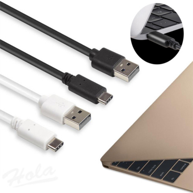 라이브리즈 [무료 당일배송] 1+1 USB C타입 고속 급속 충전케이블, 2개, 1. 화이트+[램덤발송]