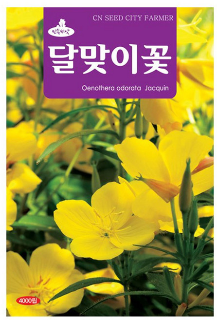 달맞이 꽃 씨앗 달맞이꽃씨 4000립, 1개
