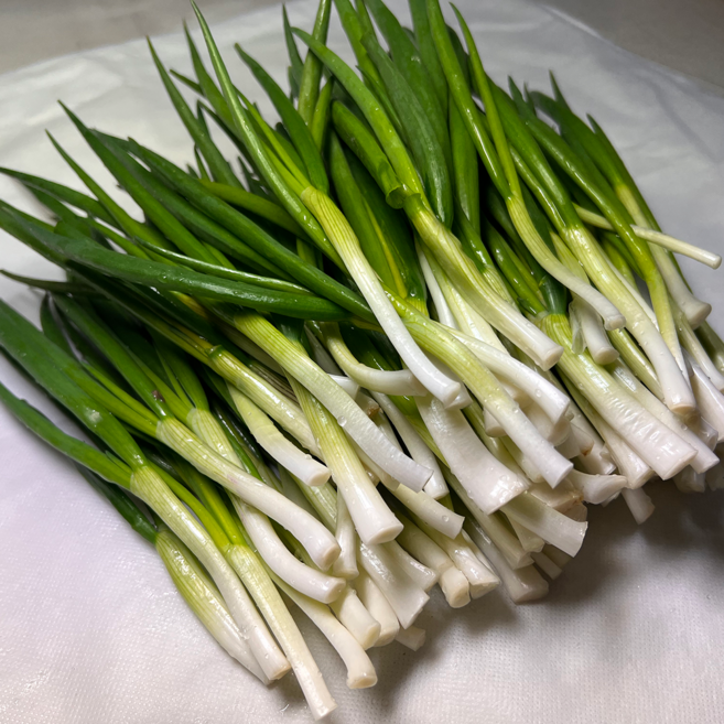 국내산 친환경 노지 햇 쪽파 깐쪽파 손질쪽파, 1개, 700g