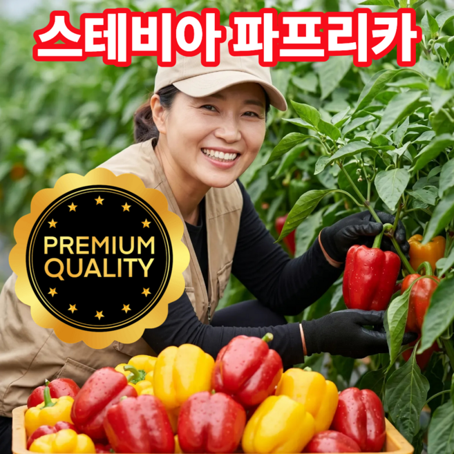 더맛곳간 고품질 스테비아 파프리카 솜사탕파프리카 국내산, 1개, 500g