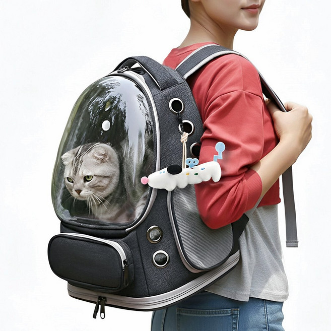 퍼피허그 Bubble 투명 우주선 강아지 백팩 산책가방 이동 가방 고양이 애견 기내용 컨넬 배낭, 1개, 그레이