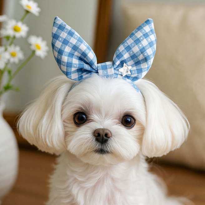 하니펫 반려동물 악세사리 머리핀 머리띠 빗살핀, 1개, 스카이