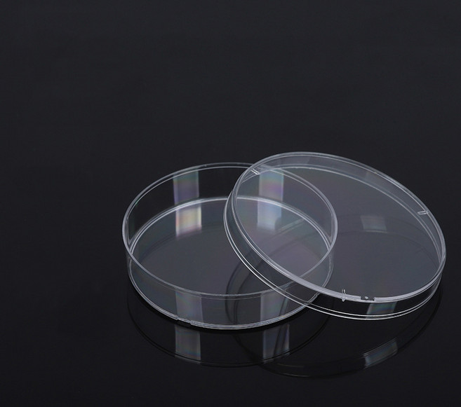 미생물배양 플라스틱 페트리디쉬 패트리 샬레 접시 35 60 70mm