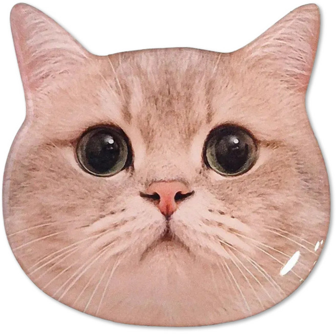 영스피플 뚱냥이 스마트톡 핸드폰 귀여운 고양이 아크릴 그립 스마트폰 톡걸이 홀더 스탠드, 1개, 말똥 뚱냥이