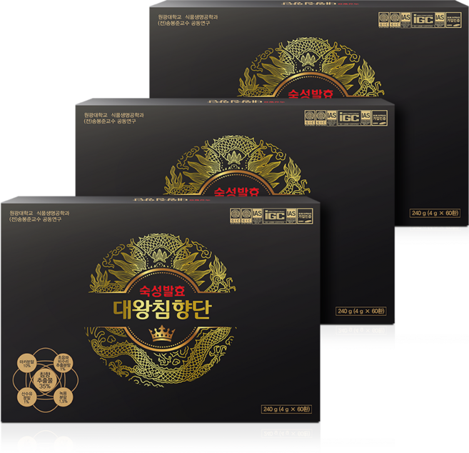 원광 숙성발효 대왕침향단 6개월분 (침향 35% 국내 최대함량), 3박스, 60정