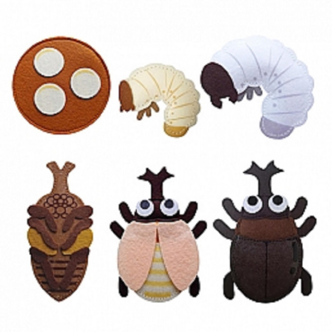 청양토이 펠트교육교재-동물의한살이장수풍뎅이, 단품