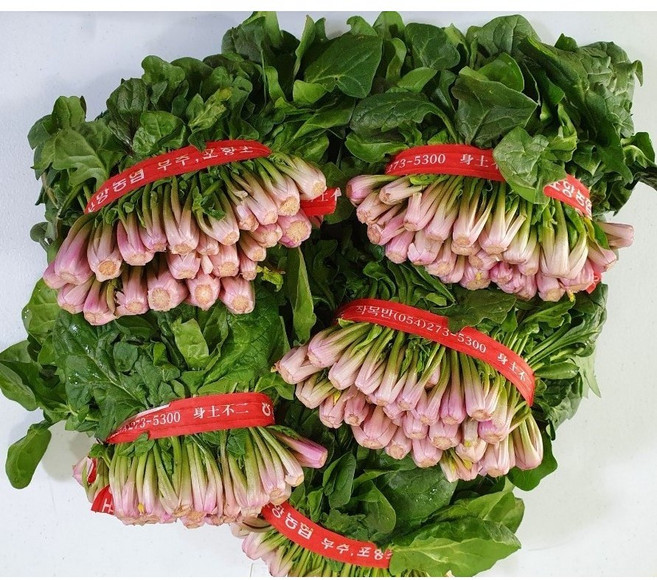 달달한 노지 포항초 시금치 1단 해풍 맞고 자라난 남해 포항초시금치, 1개