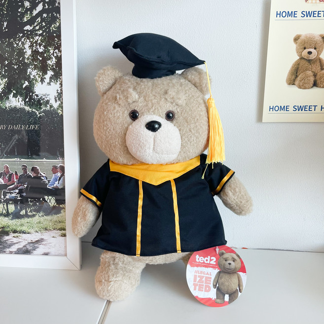 오후꽃 테드 졸업식 학사모 인형 선물 졸업선물, 1개, 1. 테드 인형 단품, 35cm
