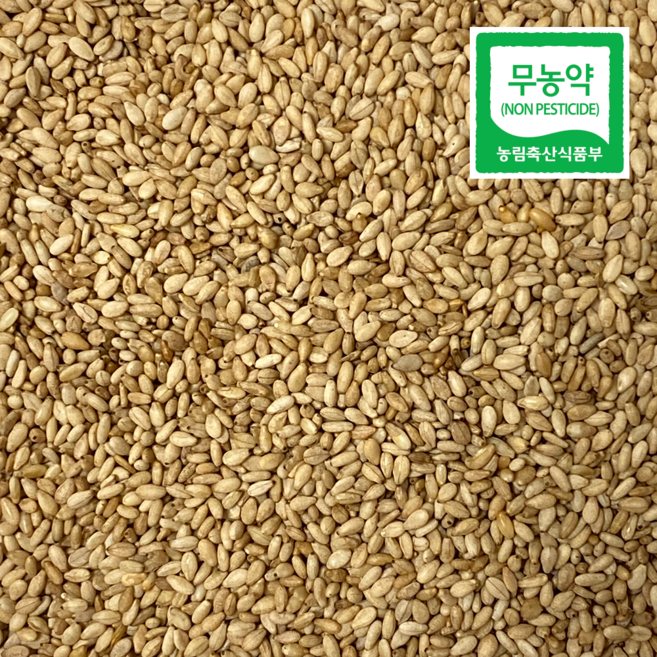 25년 국산 무농약 햇 볶음 깨 볶은 깨, 500g, 1박스, 무농약 볶음참깨