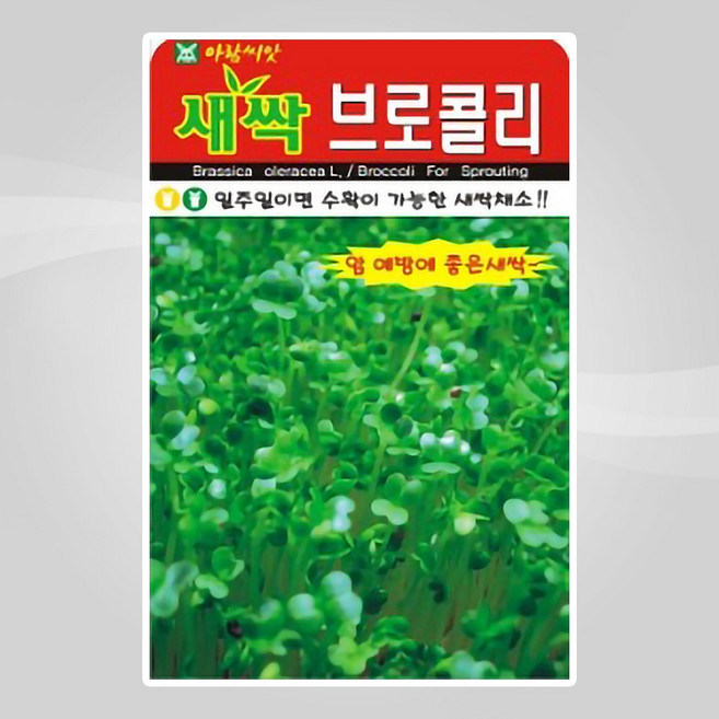 슬로시 새싹 씨앗 보리 다채 귀리 비빔용 청경채 경수채, 1개