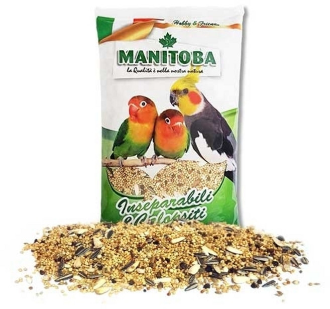 [새용품] (앵무새모이) 마니토바 중소형앵무 새사료 1kg (새먹이)새간식 사료, 1개