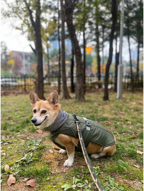 LTDO 강아지 패딩 입히기쉬운 경량 하네스, 그레이, 1개