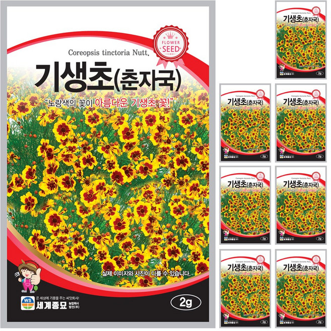 기생초 씨앗 꽃씨 2g 꽃씨앗 세계종묘 모칸도, 8개