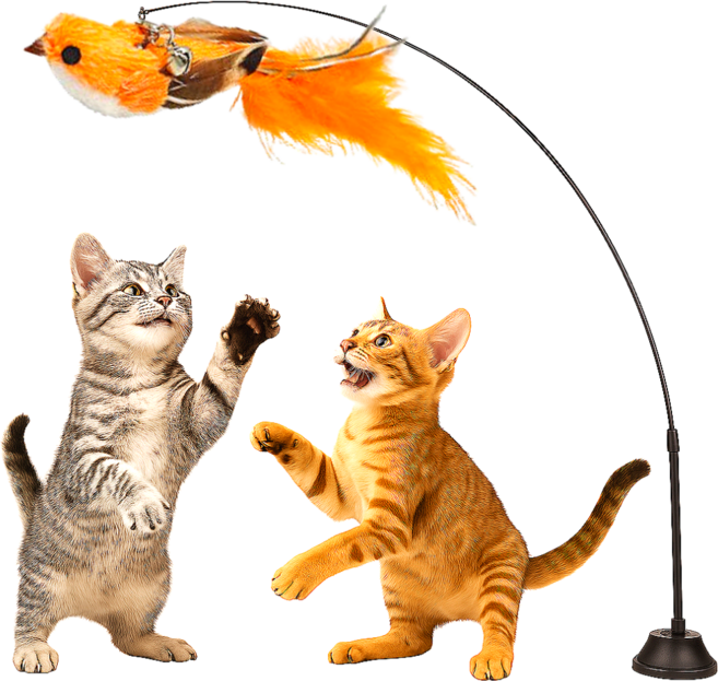 스마일플로우 진짜같은 사랑새 낚시대 풀세트 고양이 최애 튼튼 고정 장난감, 1세트, 불꽃 새