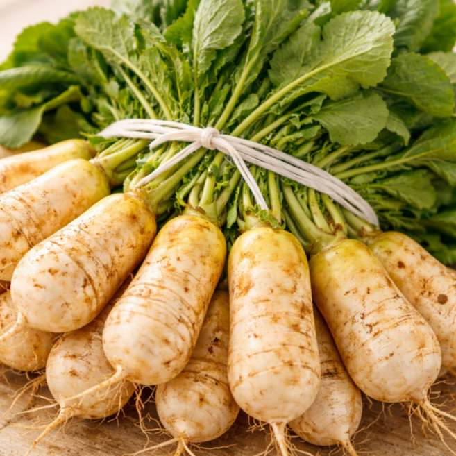 [무김치용] 여수 농장직송 황토노지 알타리무, 1박스, 3kg