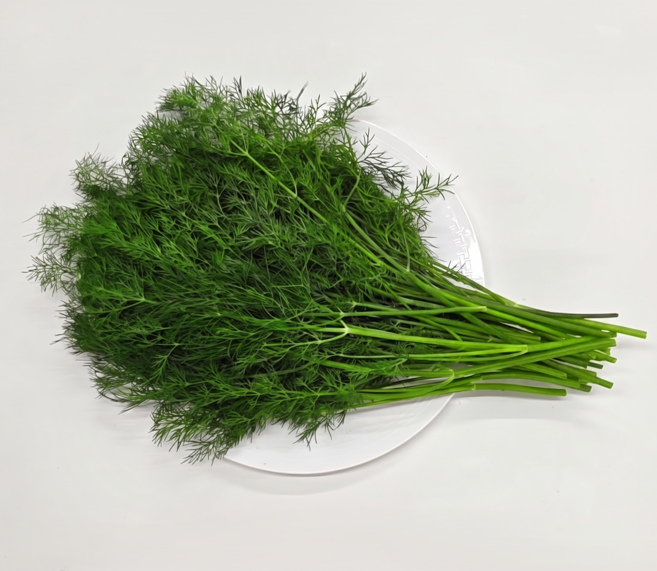싱싱한 허브 딜 100g 생잎 향신료, 1개