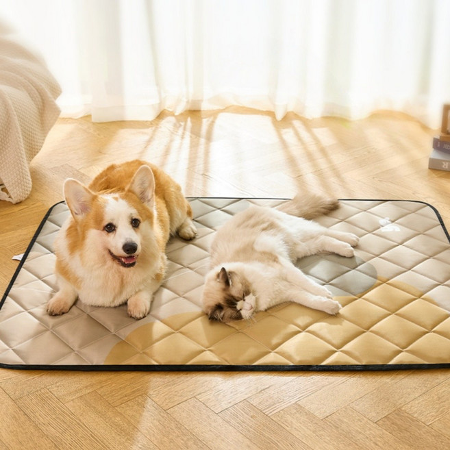 여름 쿨 펫 방석 털 안 붙는 통세탁 양면 쿠션 고양이강아지 겸용 매트, 1개, 카 색