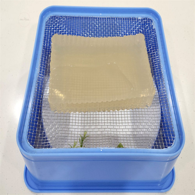 원하우 사각 우무가사리채 우뭇가사리채틀, 사각우무가사리채, 1개