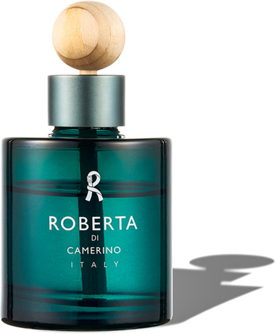 로베르타 차량용(실내용) 냄새 제거 액체형 그린그라스-초록색, 120ml, 1개, 그린그라스