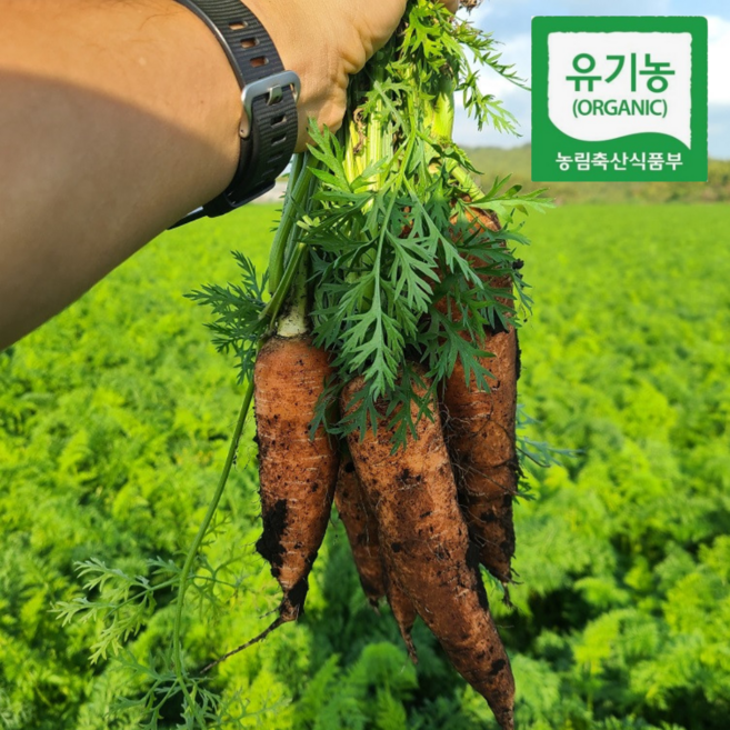 돌망돌망 제주 유기농 친환경 흙당근 2kg 3kg 5kg 산지직송 국내산, 1개