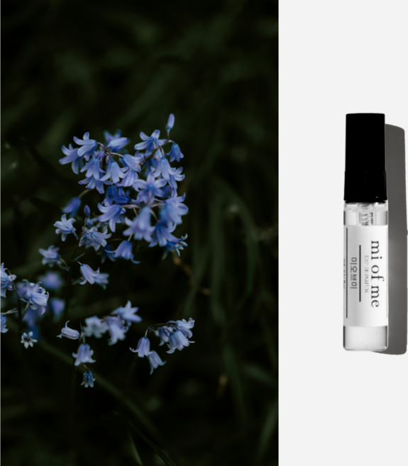 미오브미 와일드 블루벨 니치 향수 오드퍼퓸, 1개, 5ml