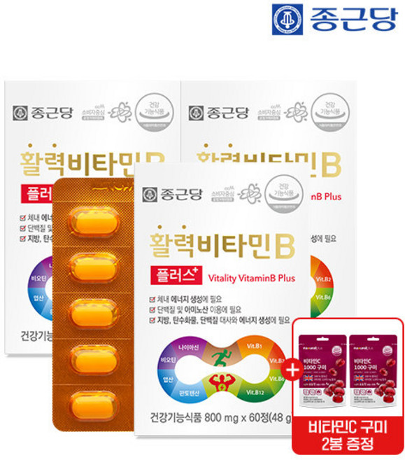 종근당 활력 비타민B 플러스 3박스(6개월분)+비타C1000구미 포도맛 2봉, 3개, 60정