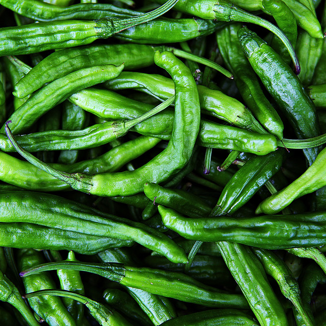 미소진 국내산 맛좋은 못난이 꽈리고추, 1개, 500g