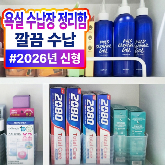 브리안트 깔끔 수납 욕실 수납장 정리함, 반투명, 10개